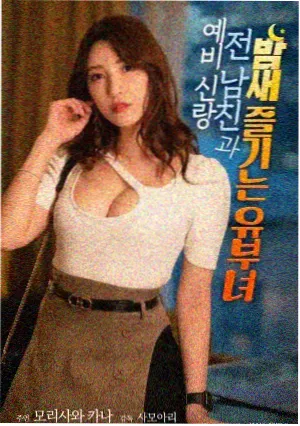 面包和汤和猫咪好天气